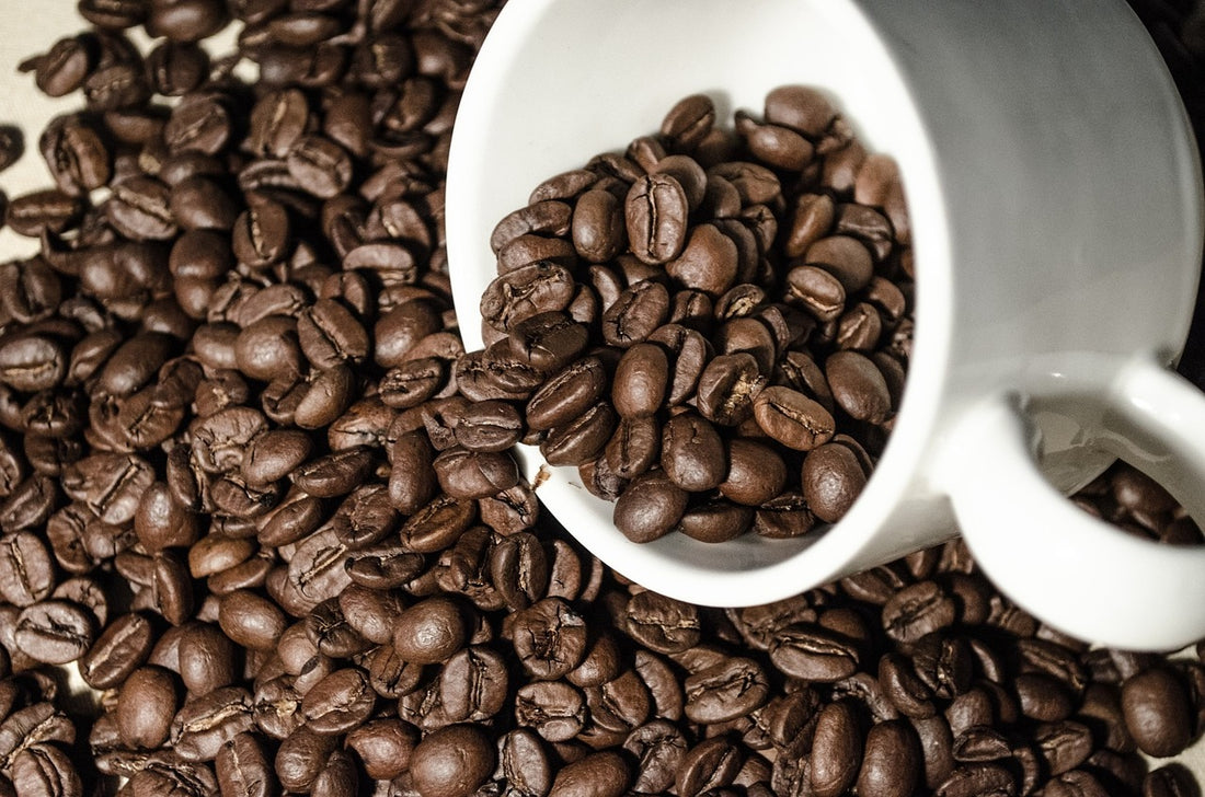 The World of Decaf Coffee: Processes and the Importance of Water Processing